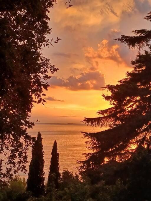 Brezza Marina - Appartamento In Villa Fronte Mare Triest Zewnętrze zdjęcie
