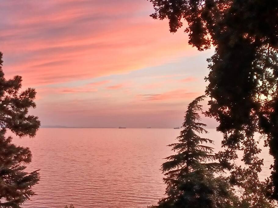 Brezza Marina - Appartamento In Villa Fronte Mare Triest Zewnętrze zdjęcie
